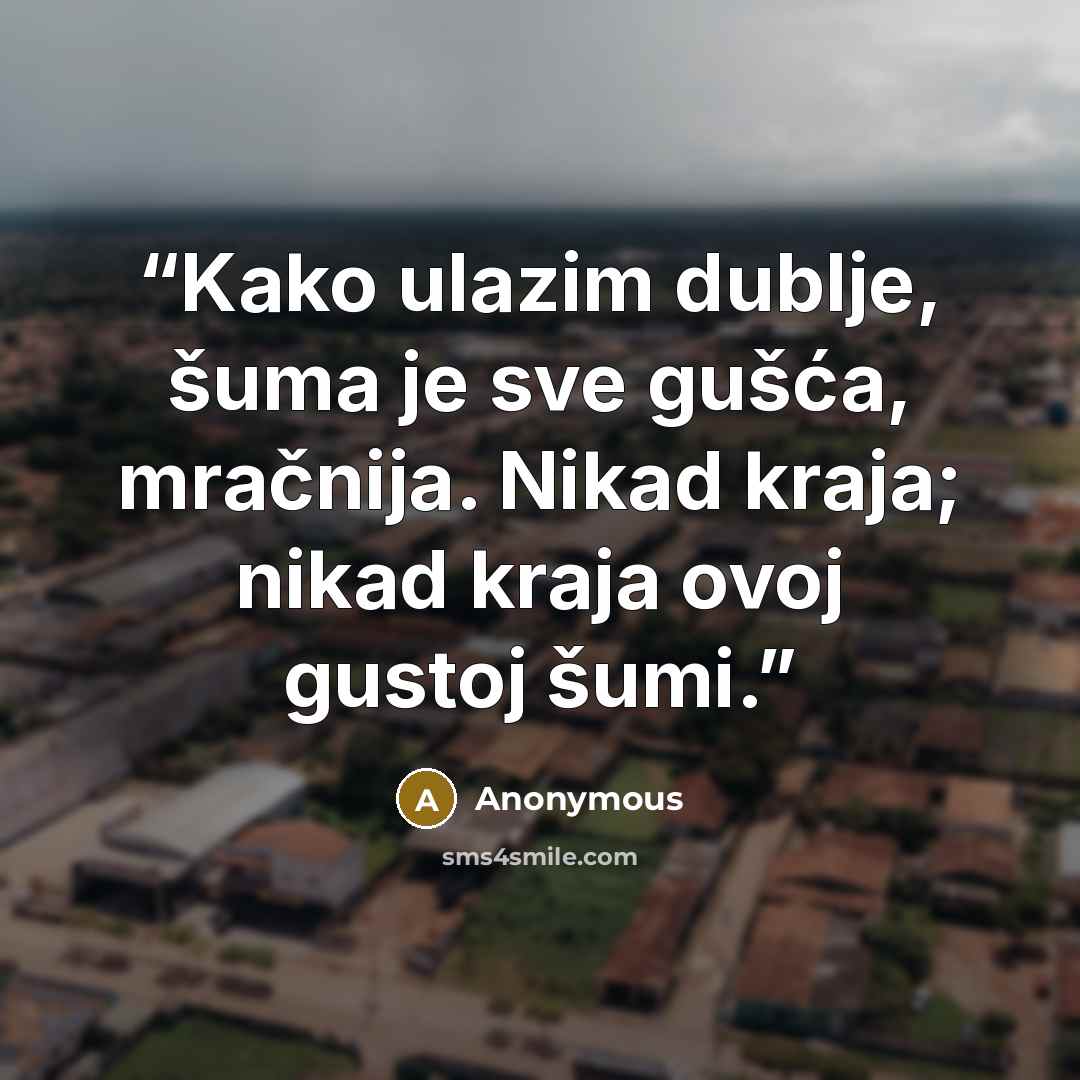 “Kako ulazim dublje, šuma je sve gušća, mračnija. Nikad kraja; nikad kraja ovoj gustoj šumi.” quote by Anonymous