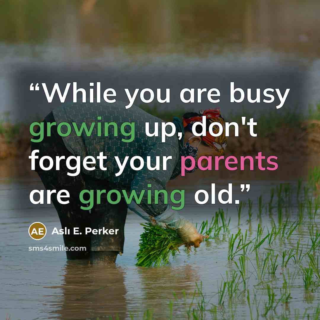 “While you are busy growing up, don't forget your parents are growing old.” quote by Aslı E. Perker