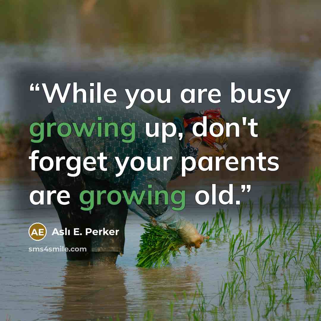 “While you are busy growing up, don't forget your parents are growing old.” quote by Aslı E. Perker