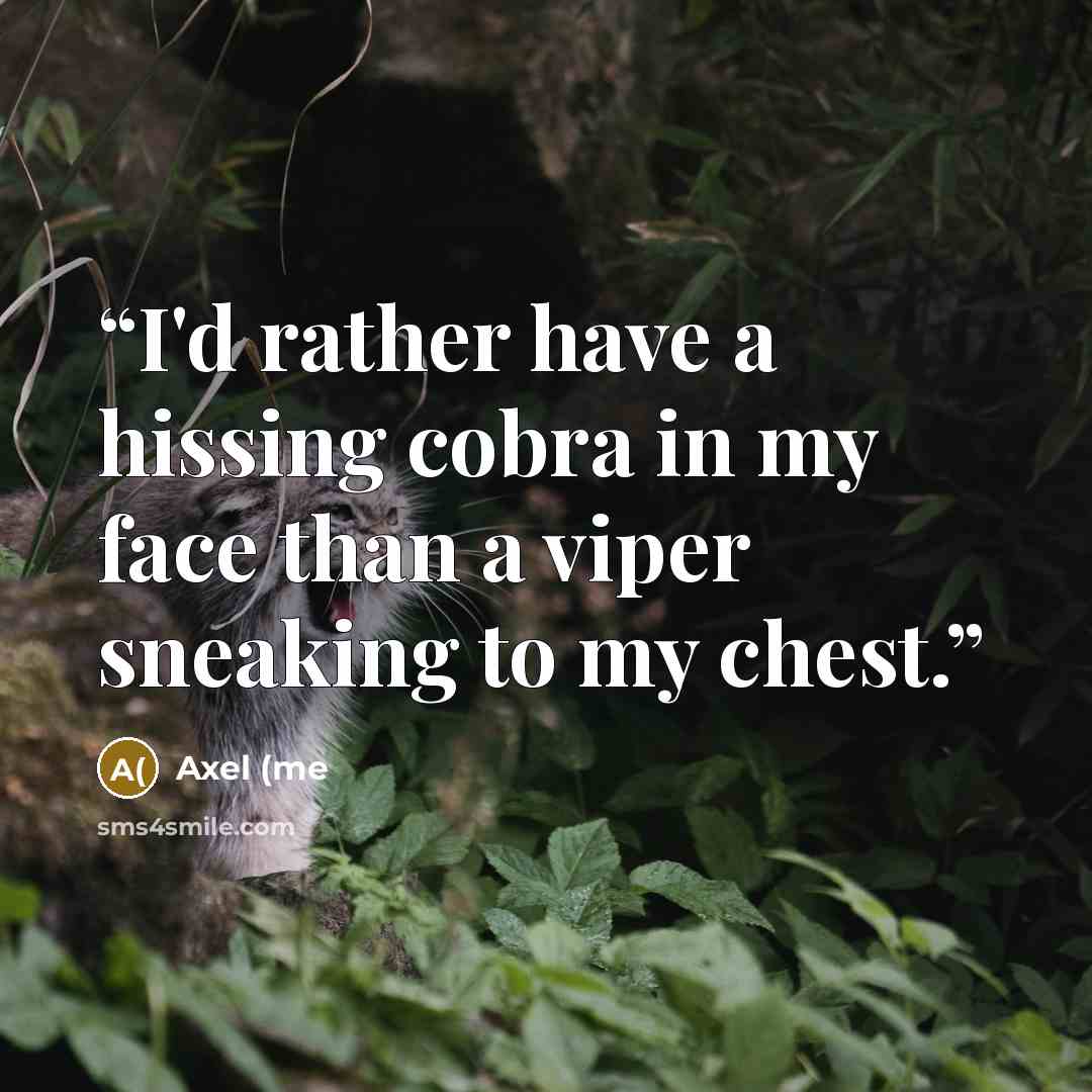 “I'd rather have a hissing cobra in my face than a viper sneaking to my chest.” quote by Axel (me