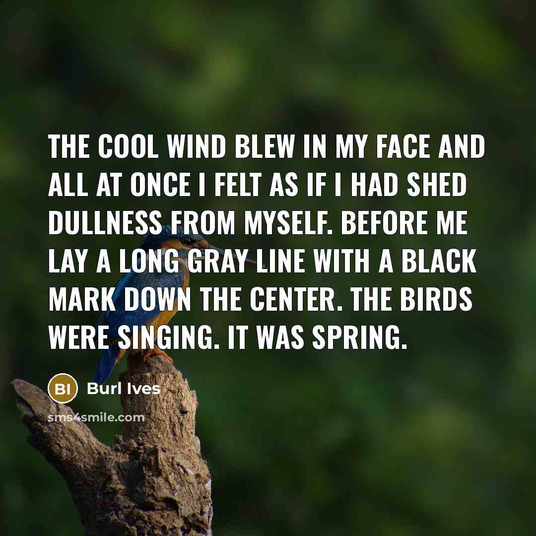 “The cool wind blew in my face and all at…” quote by Burl Ives