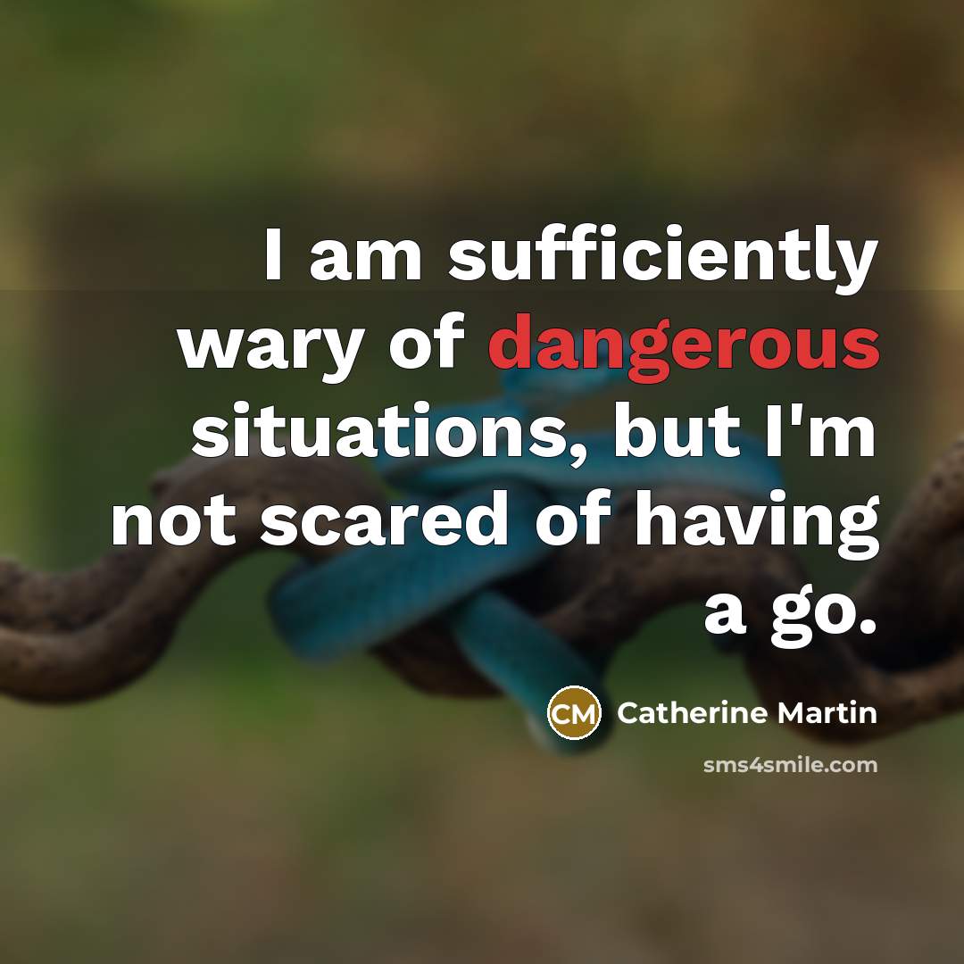 “I am sufficiently wary of dangerous situations, but I'm not…” quote by Catherine Martin