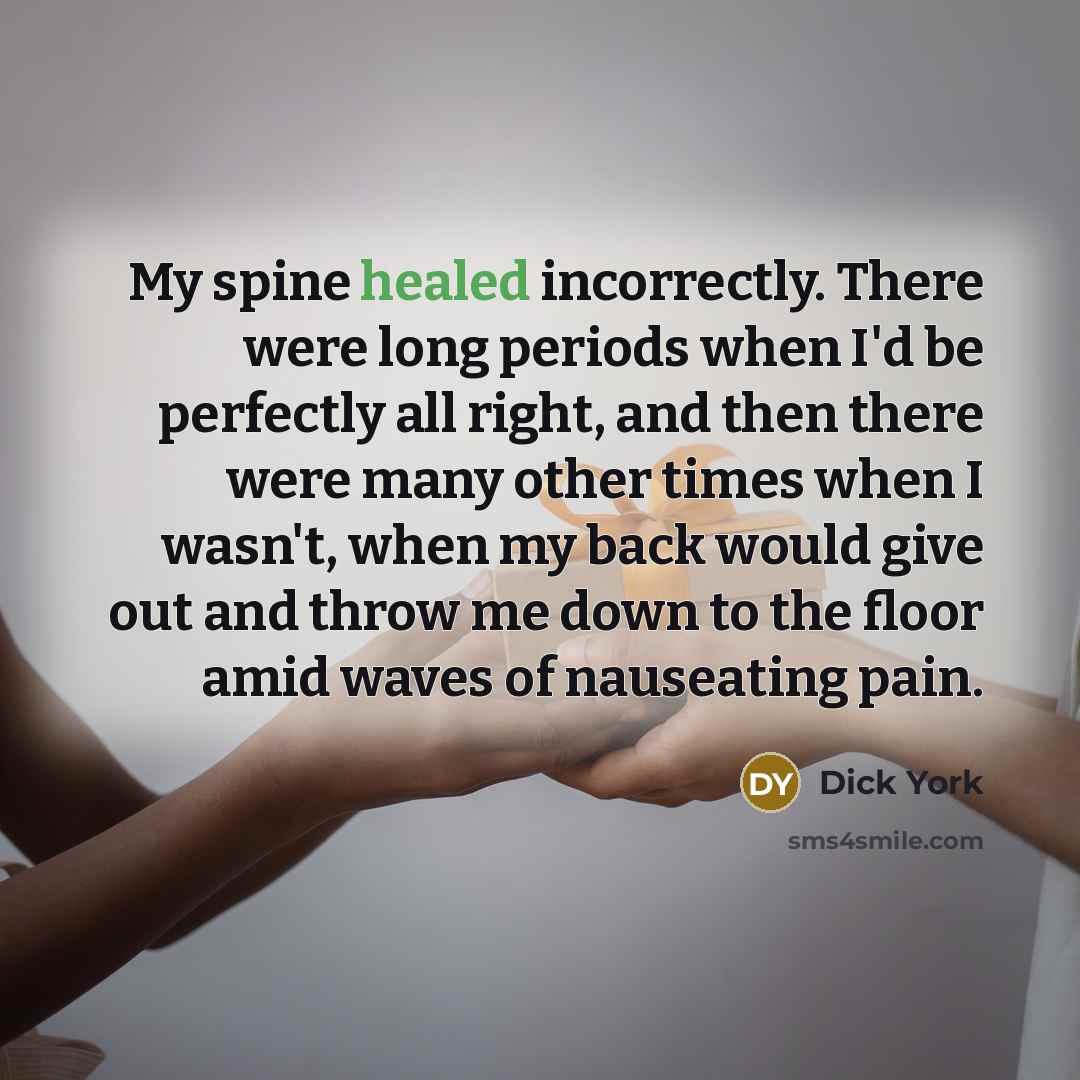 “My spine healed incorrectly. There were long periods when I'd…” quote by Dick York