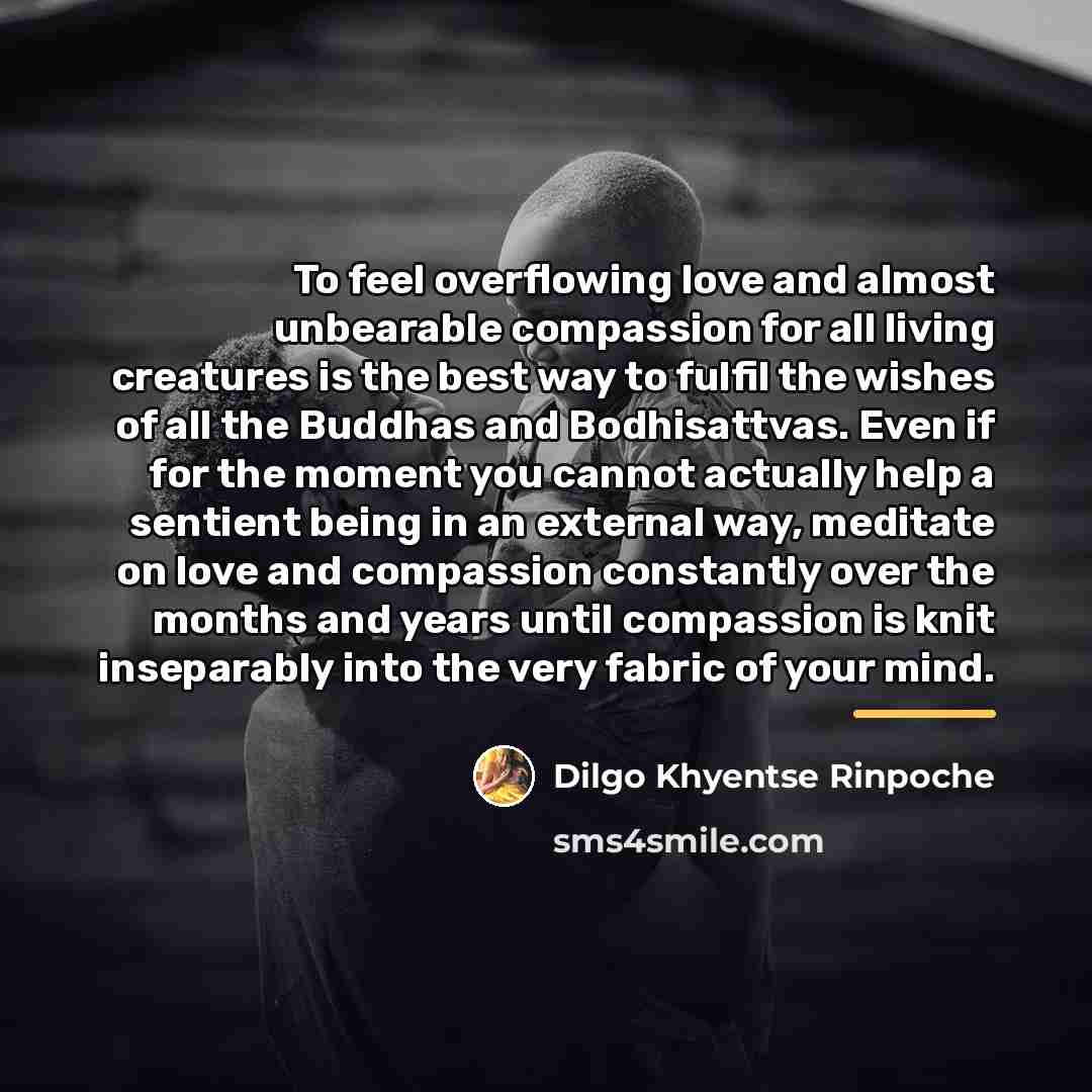 “To feel overflowing love and almost unbearable compassion for all…” quote by Dilgo Khyentse Rinpoche