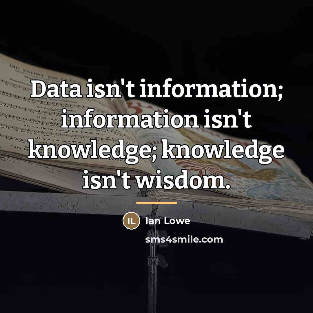 “Data isn't information; information isn't knowledge; knowledge isn't wisdom.…” quote by Ian Lowe