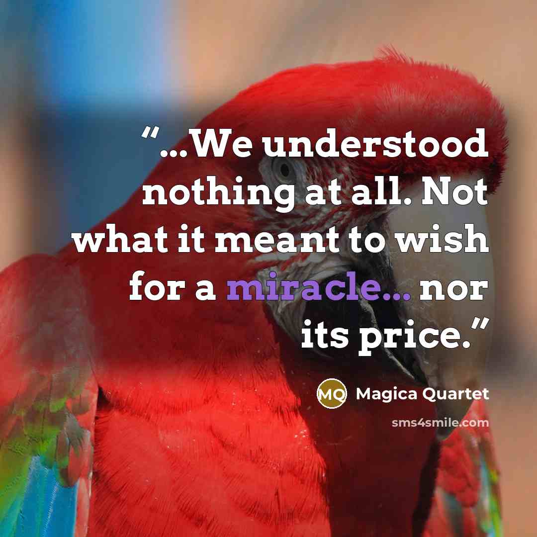 “...We understood nothing at all. Not what it meant to wish for a miracle... nor its price.” quote by Magica Quartet