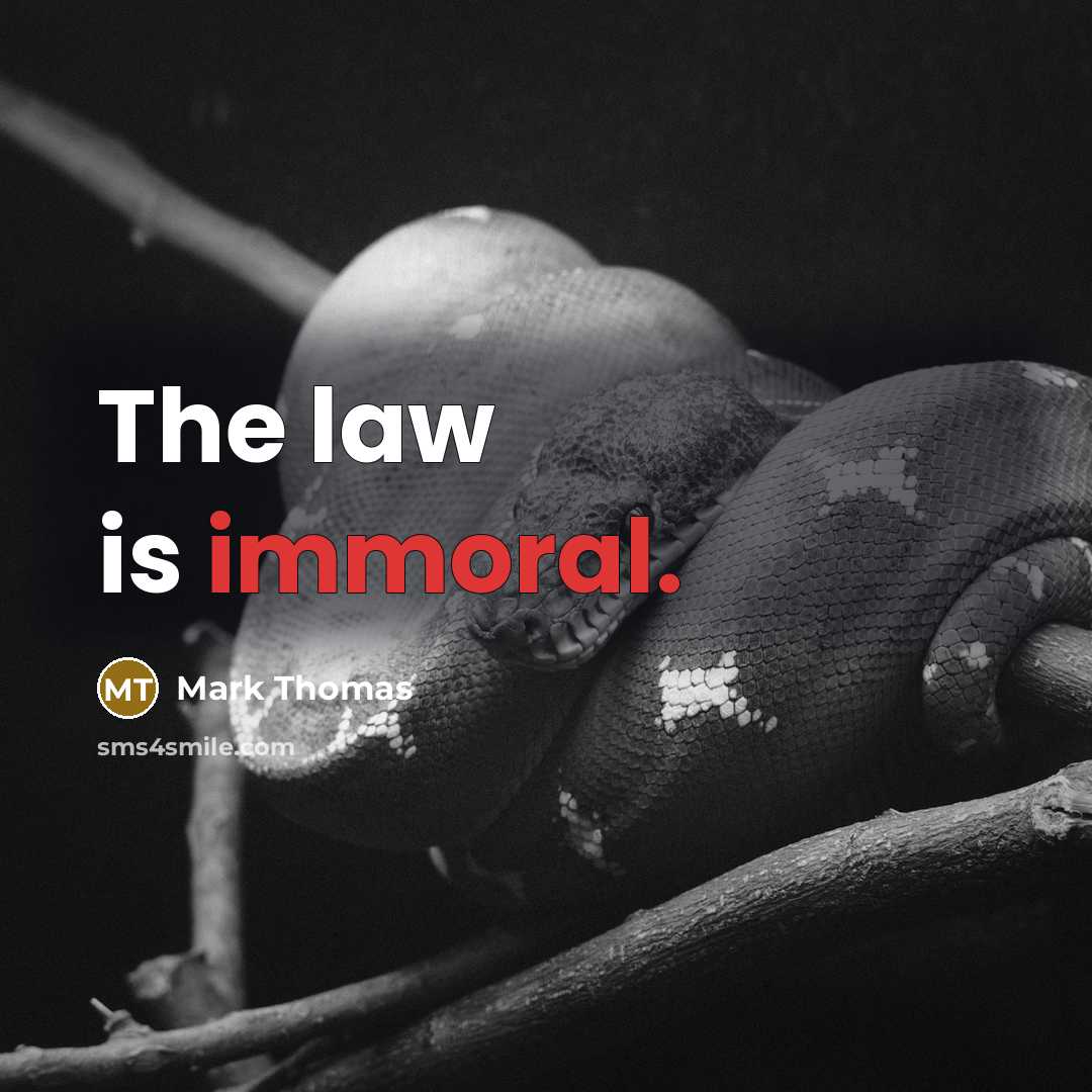 “The law is immoral.…” quote by Mark Thomas