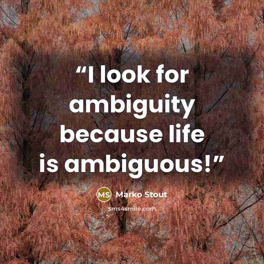 “I look for ambiguity because life is ambiguous!” quote by Marko Stout