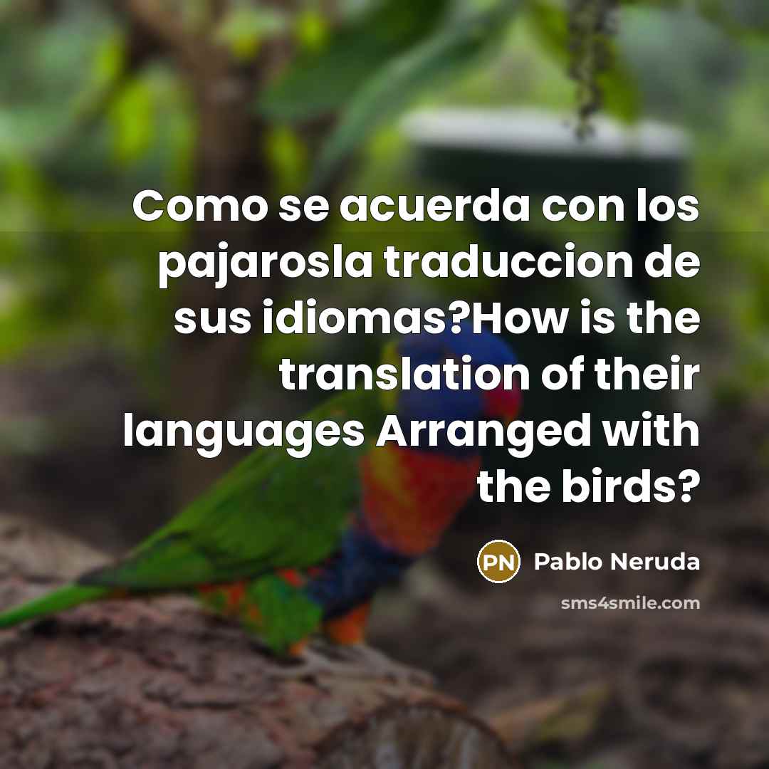 “Como se acuerda con los pajarosla traduccion de sus idiomas?How…” quote by Pablo Neruda