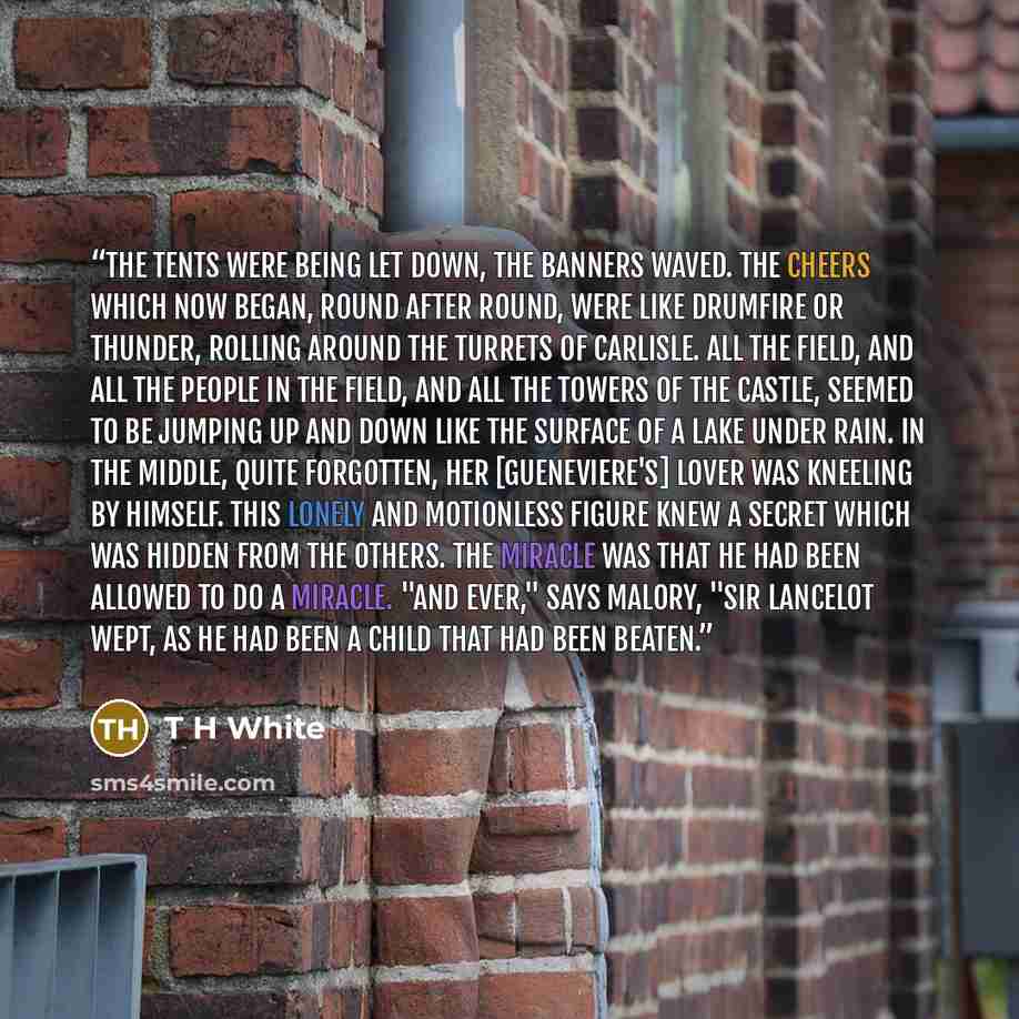 “The tents were being let down, the banners waved. The cheers which now began, round after round, were like drumfire or thunder, rolling around the turrets of Carlisle. All the field, and all the people in the field, and all the towers of the castle, seemed to be jumping up and down like the…” quote by T H White