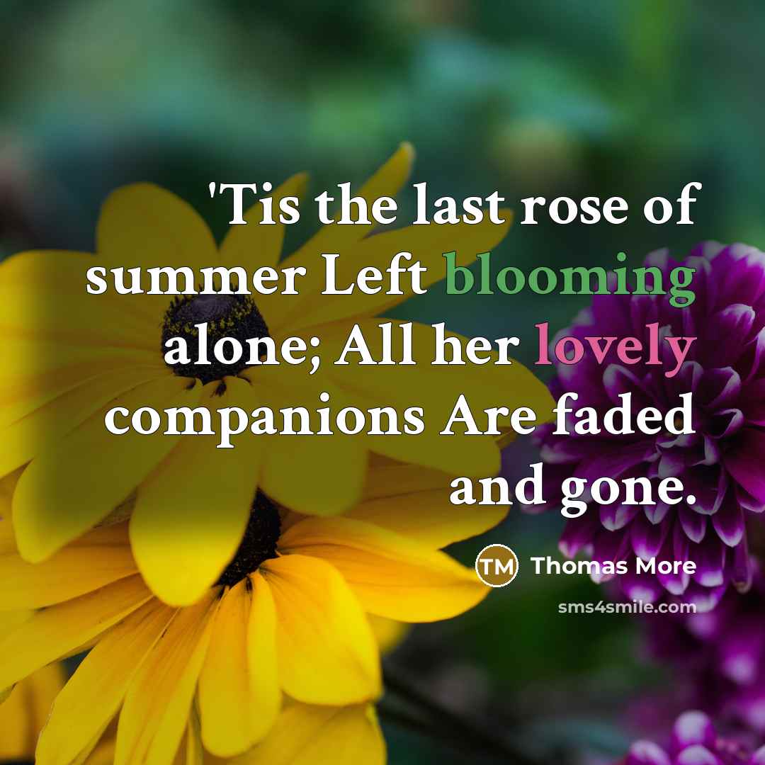 “'Tis the last rose of summer Left blooming alone; All…” quote by Thomas More