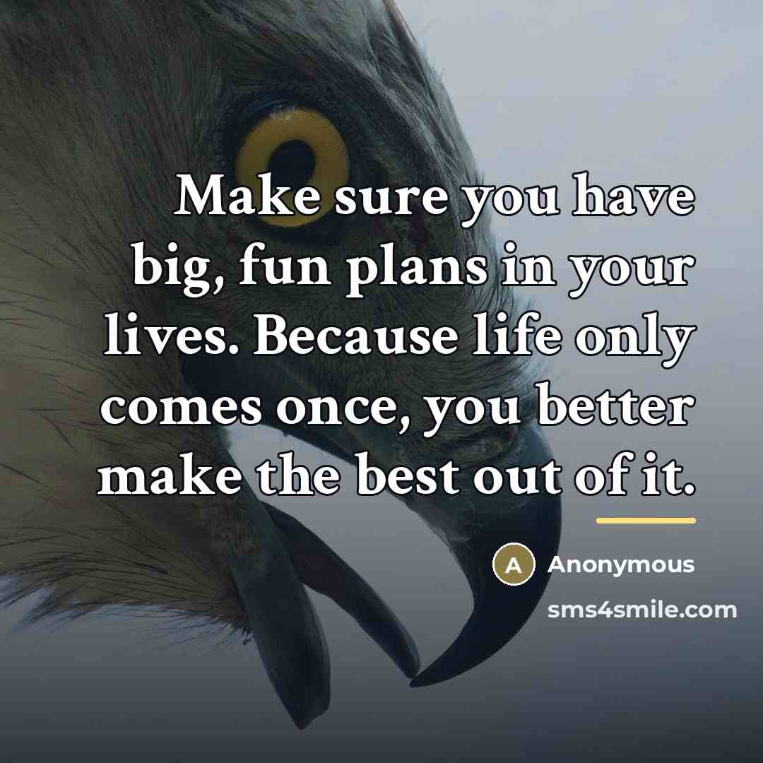 “Make sure you have big, fun plans in your lives.…” quote by Anonymous