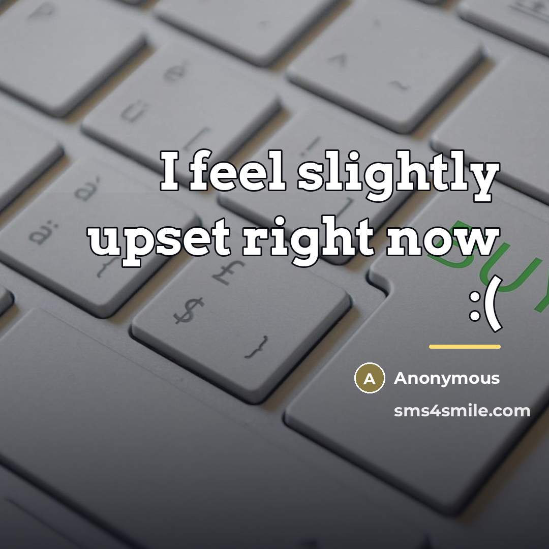 “I feel slightly upset right now :(…” quote by Anonymous