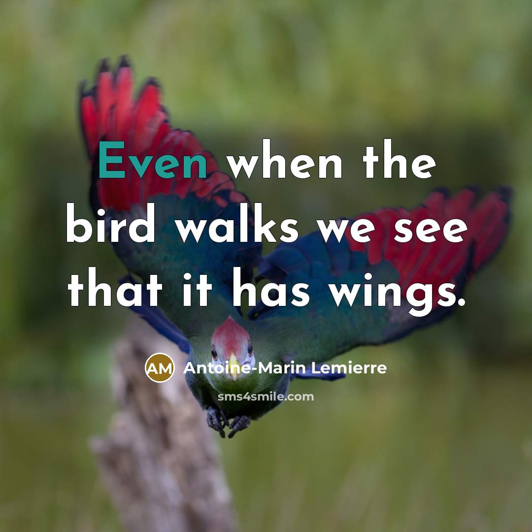“Even when the bird walks we see that it has…” quote by Antoine-Marin Lemierre
