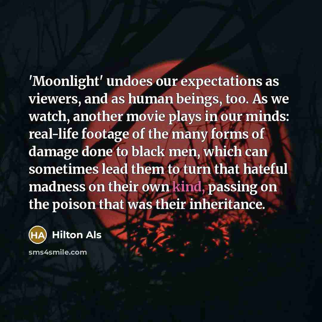 “'Moonlight' undoes our expectations as viewers, and as human beings,…” quote by Hilton Als