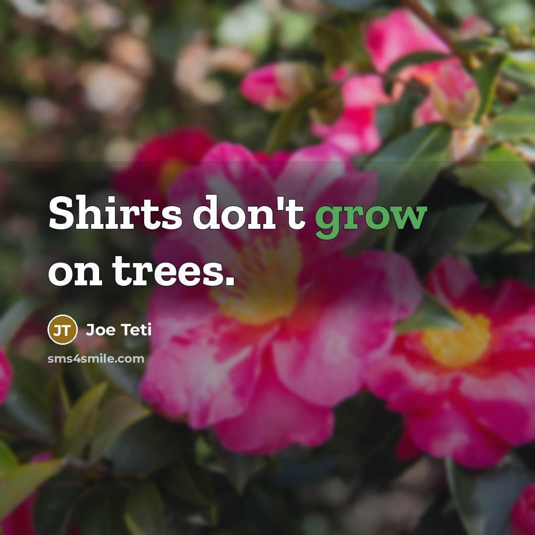 “Shirts don't grow on trees.…” quote by Joe Teti