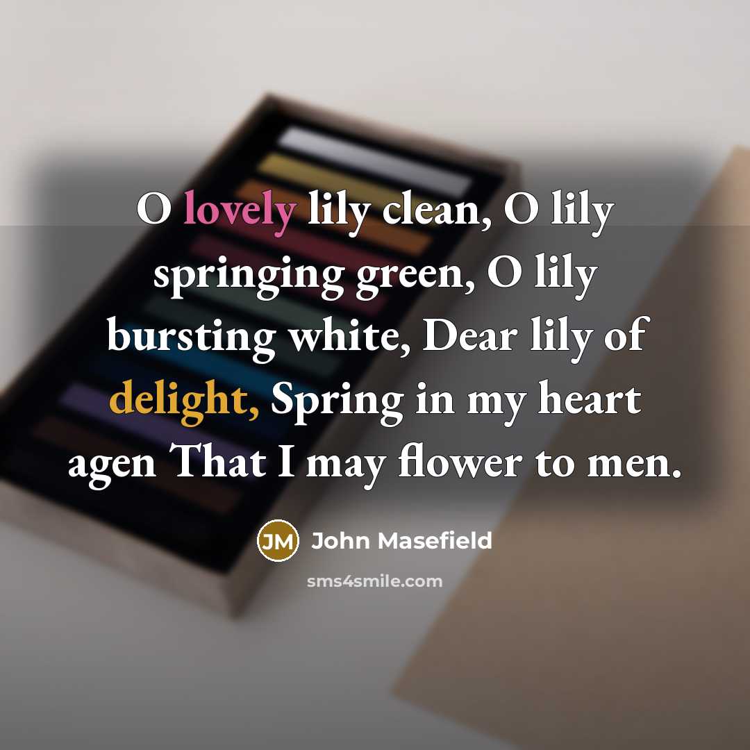 “O lovely lily clean, O lily springing green, O lily…” quote by John Masefield