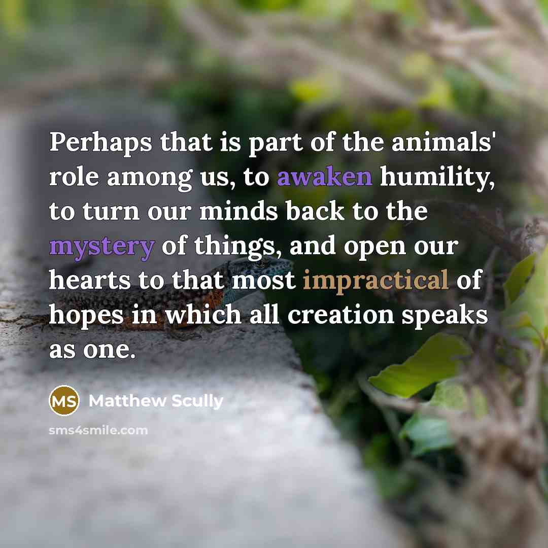 “Perhaps that is part of the animals' role among us,…” quote by Matthew Scully