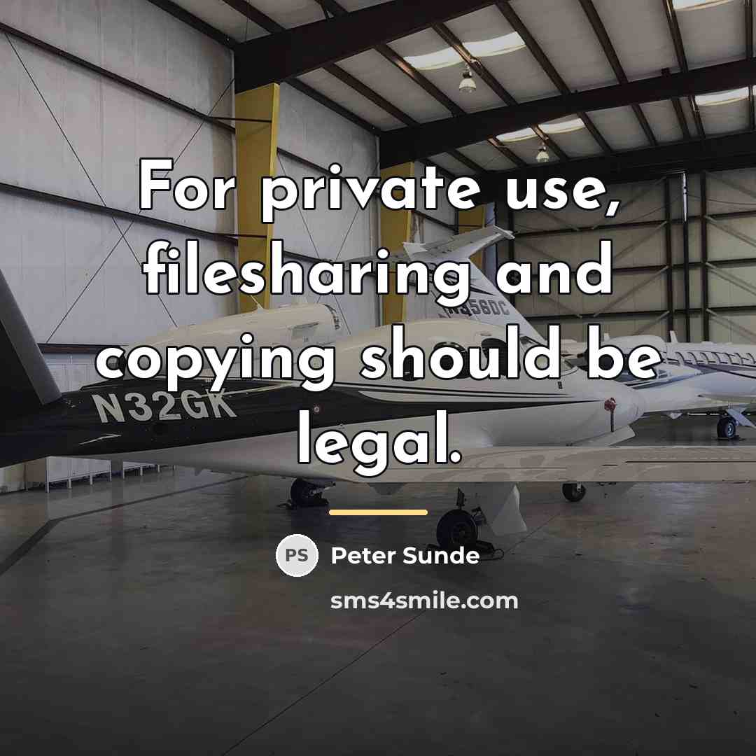“For private use, filesharing and copying should be legal.…” quote by Peter Sunde