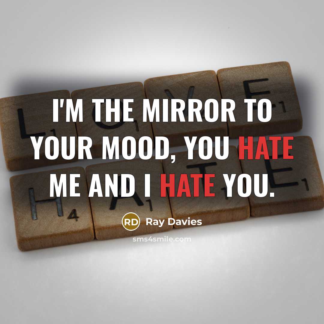 “I'm the mirror to your mood, you hate me and…” quote by Ray Davies