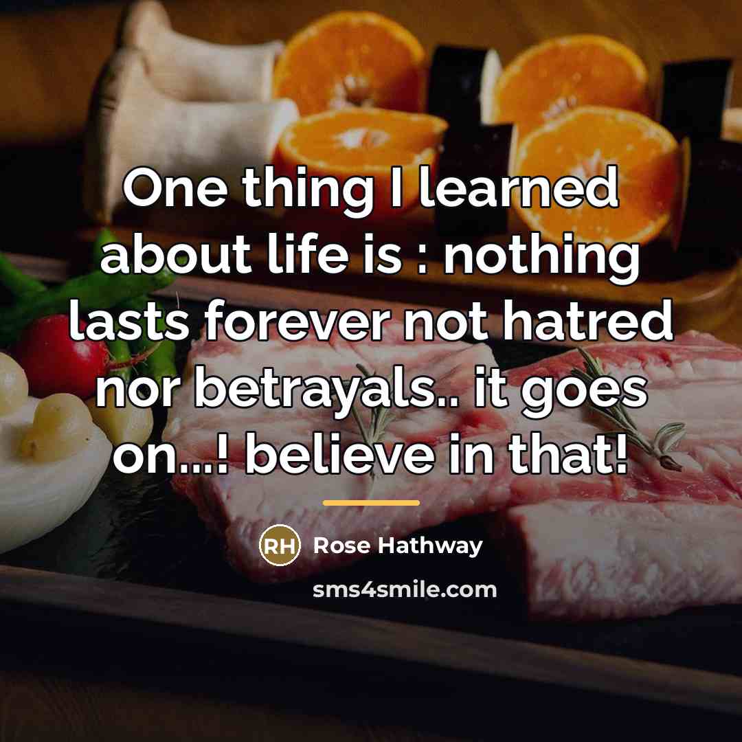 “One thing I learned about life is : nothing lasts…” quote by Rose Hathway