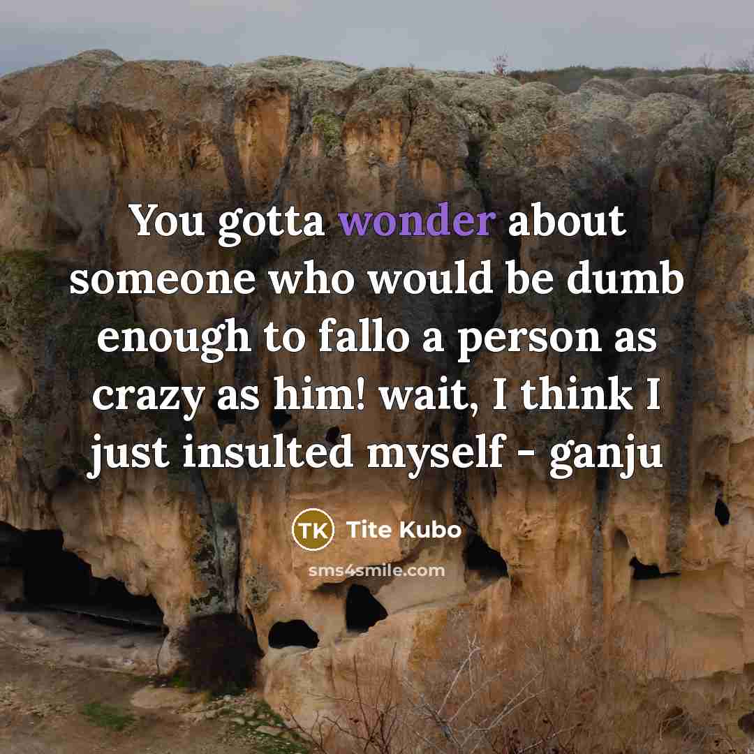 “You gotta wonder about someone who would be dumb enough…” quote by Tite Kubo