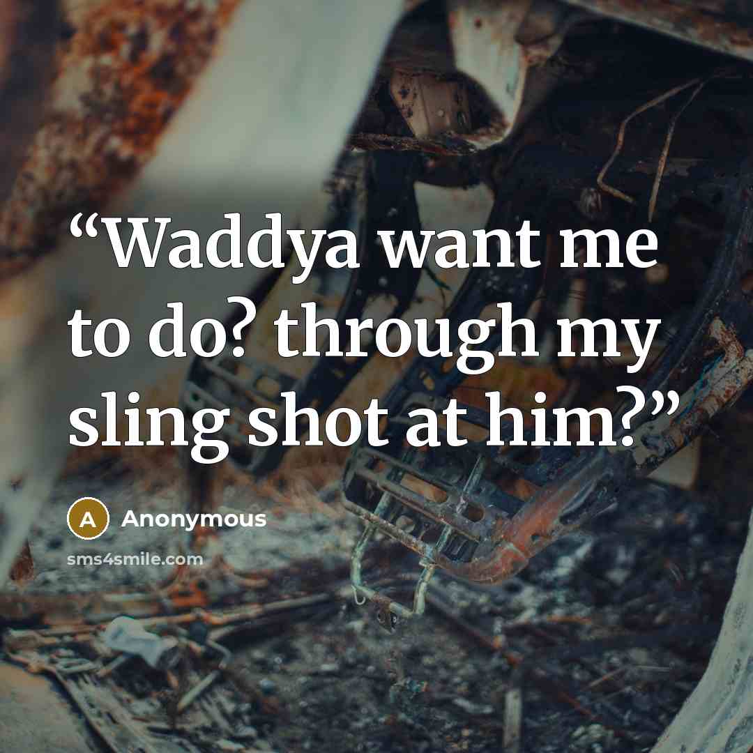 “Waddya want me to do? through my sling shot at him?” quote by Anonymous