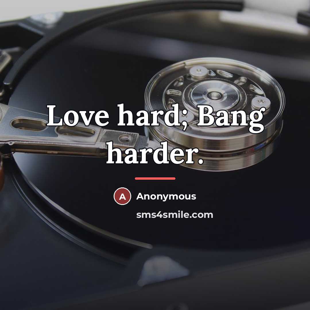 “Love hard; Bang harder.…” quote by Anonymous