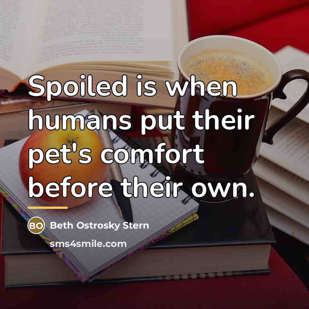 “Spoiled is when humans put their pet's comfort before their…” quote by Beth Ostrosky Stern