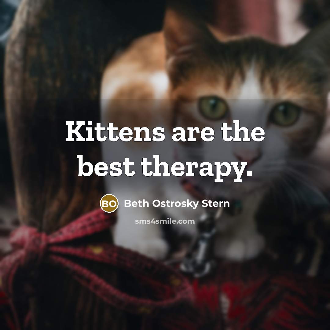 “Kittens are the best therapy.…” quote by Beth Ostrosky Stern