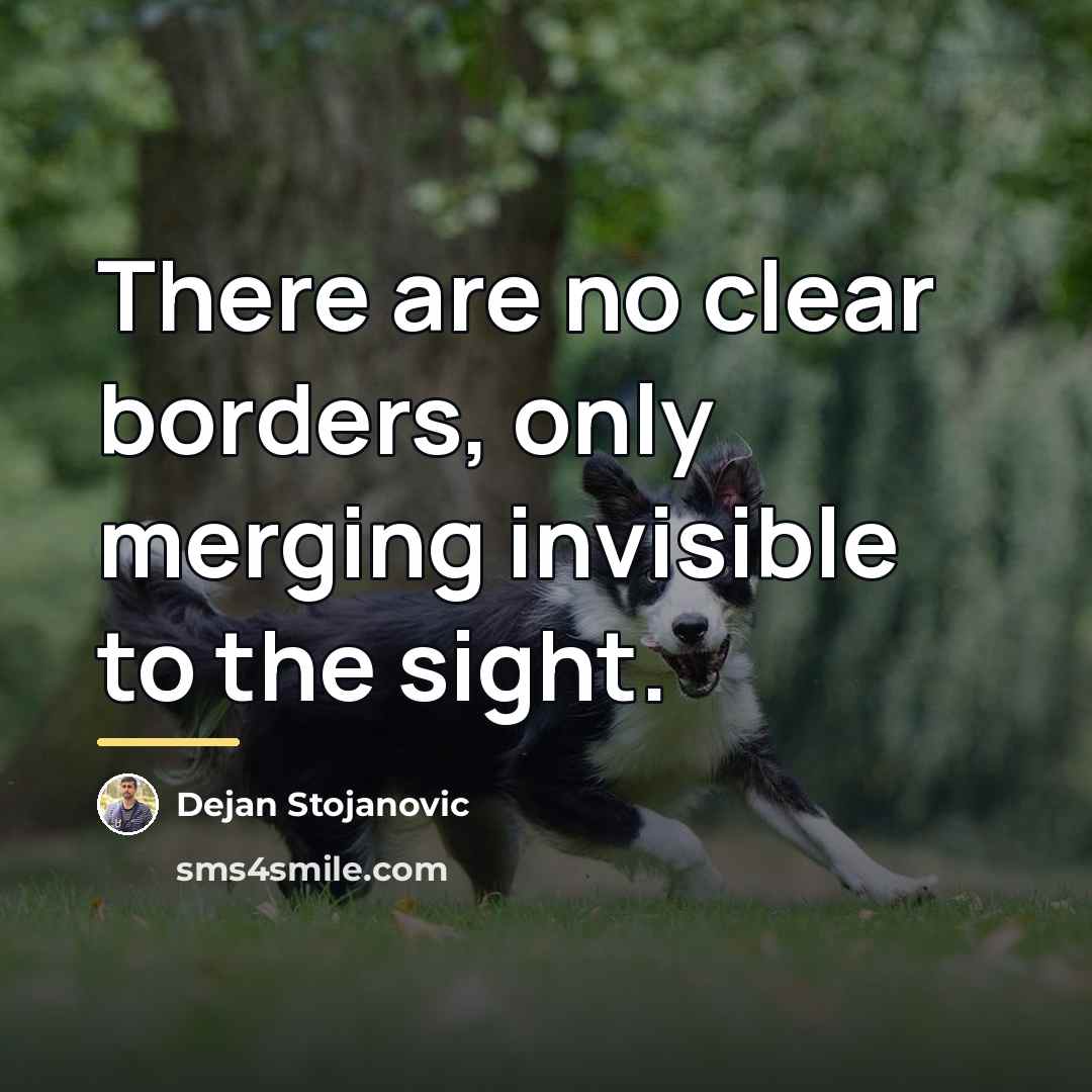 “There are no clear borders, only merging invisible to the…” quote by Dejan Stojanovic