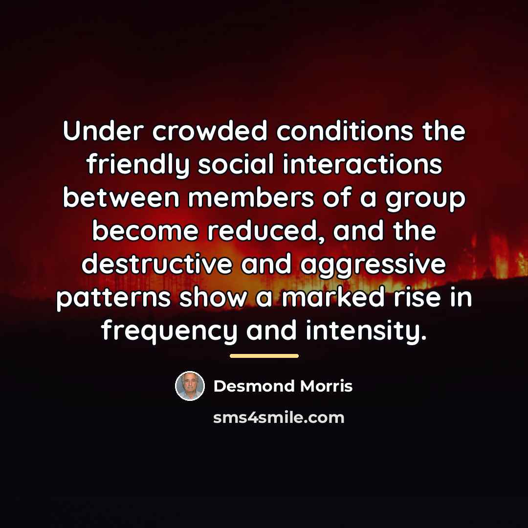 “Under crowded conditions the friendly social interactions between members of…” quote by Desmond Morris
