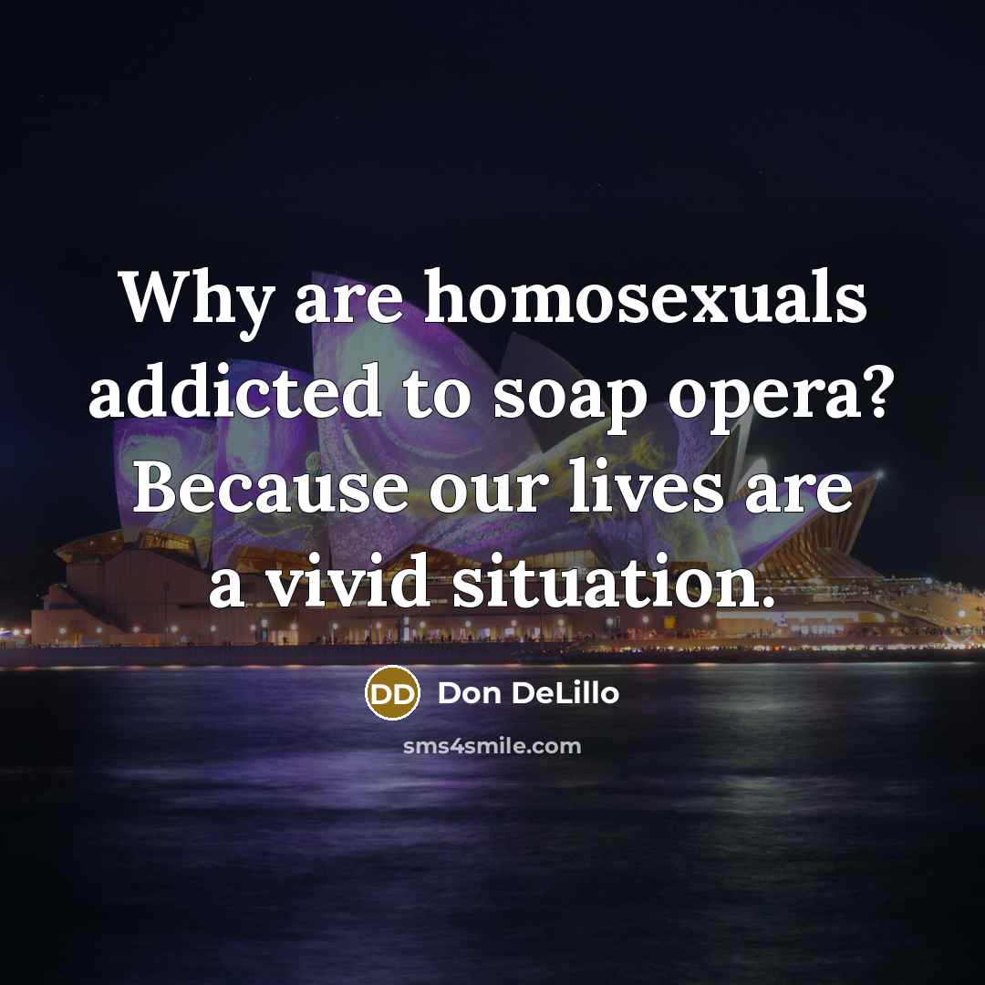 “Why are homosexuals addicted to soap opera? Because our lives…” quote by Don DeLillo