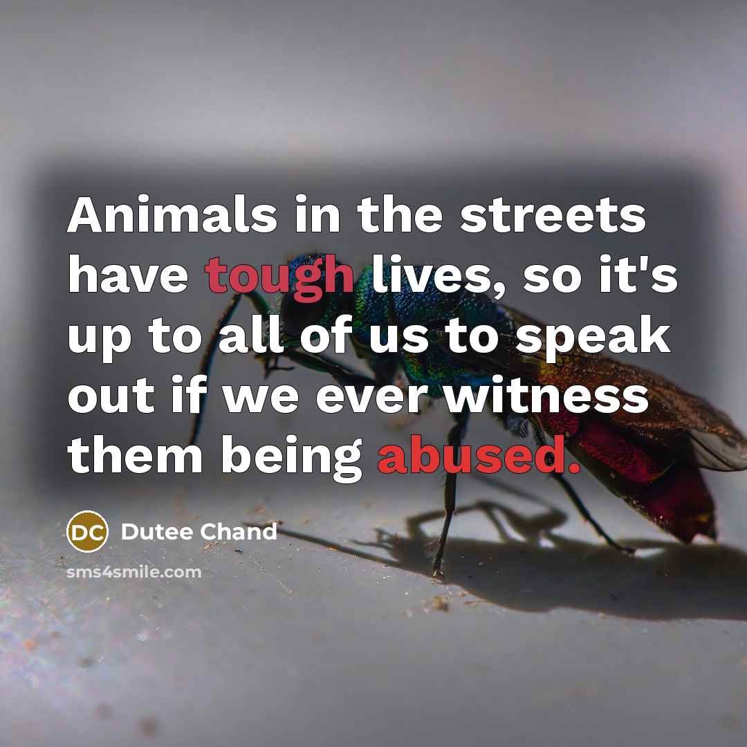 “Animals in the streets have tough lives, so it's up…” quote by Dutee Chand