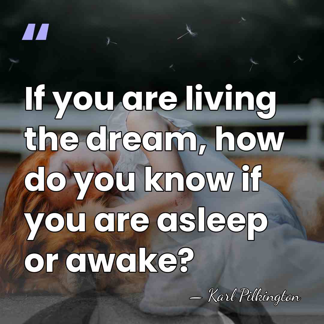 If you are living the dream, how do you know if you&hellip; - Karl Pilkington