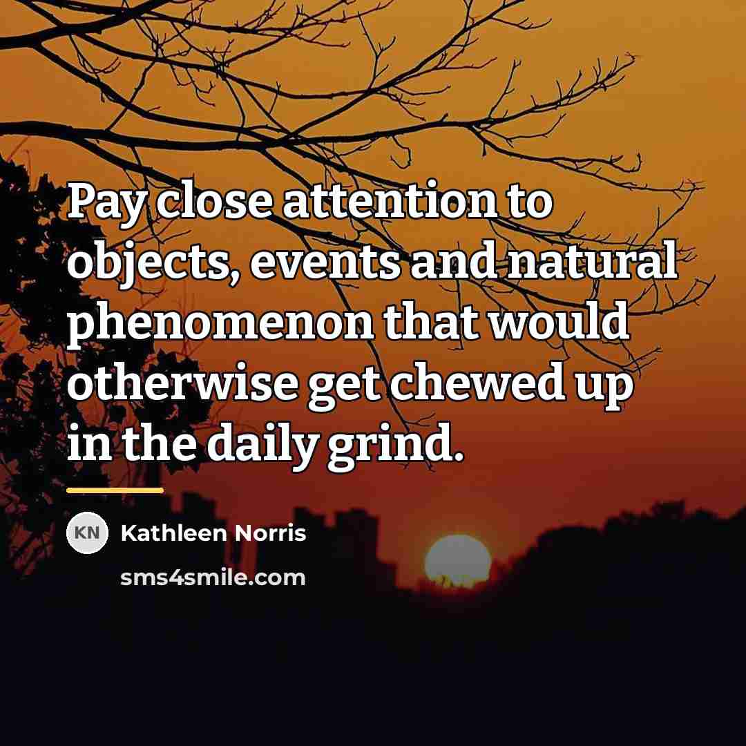 “Pay close attention to objects, events and natural phenomenon that…” quote by Kathleen Norris