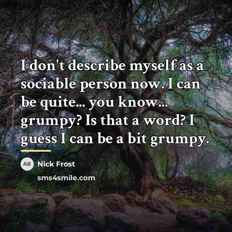 “I don't describe myself as a sociable person now. I…” quote by Nick Frost