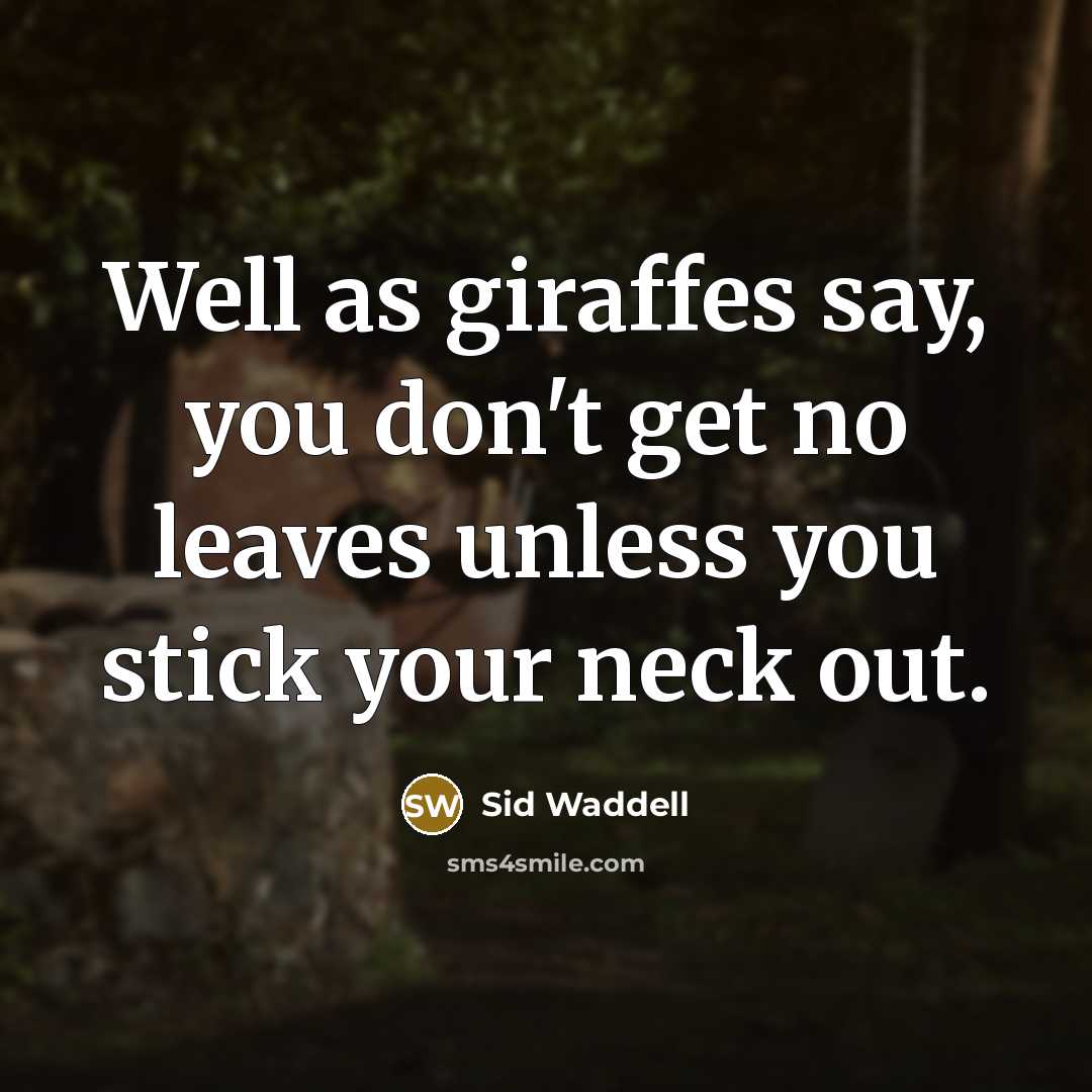 “Well as giraffes say, you don't get no leaves unless…” quote by Sid Waddell
