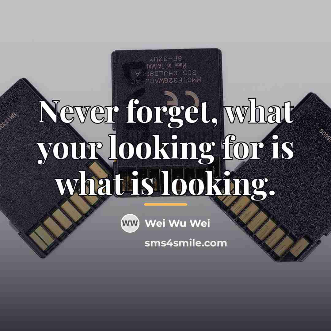“Never forget, what your looking for is what is looking.…” quote by Wei Wu Wei