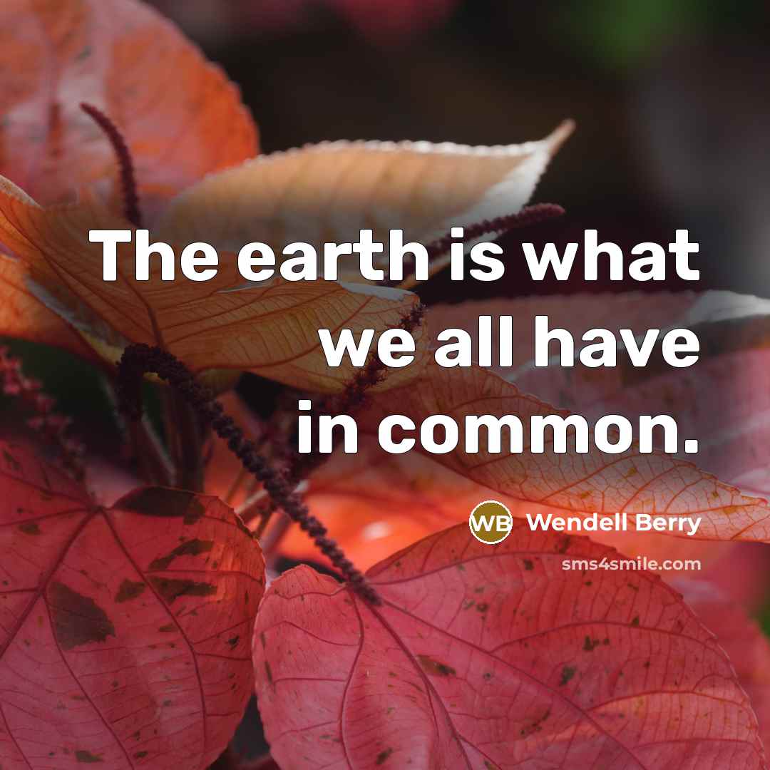 “The earth is what we all have in common.…” quote by Wendell Berry