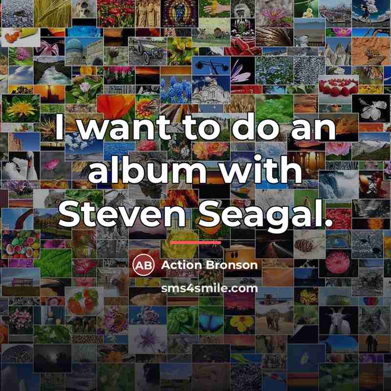 “I want to do an album with Steven Seagal.…” quote by Action Bronson