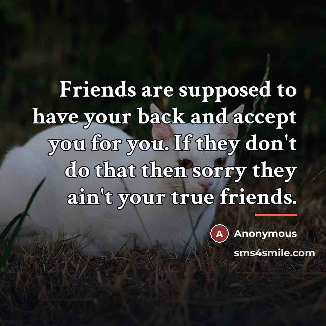 “Friends are supposed to have your back and accept you…” quote by Anonymous