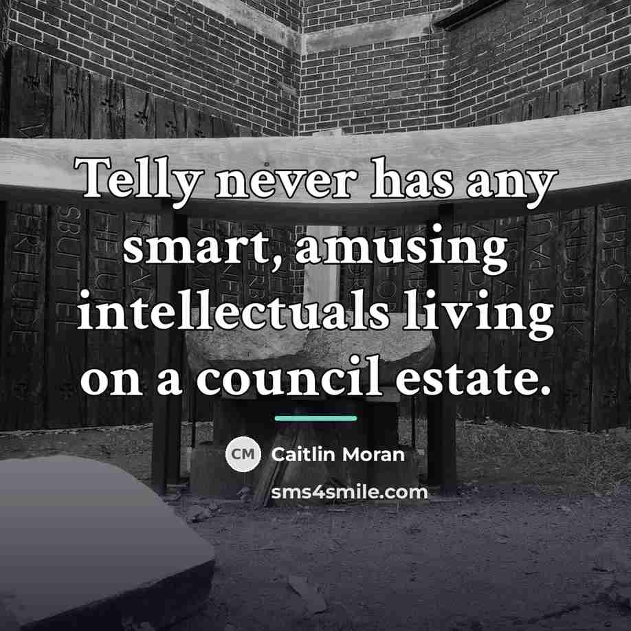 “Telly never has any smart, amusing intellectuals living on a…” quote by Caitlin Moran