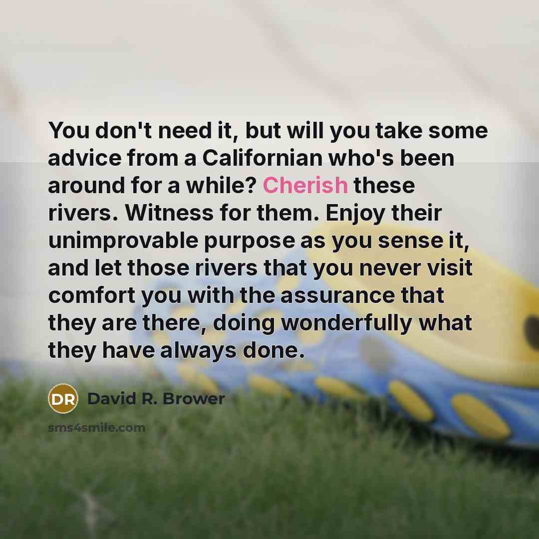 “You don't need it, but will you take some advice…” quote by David R. Brower