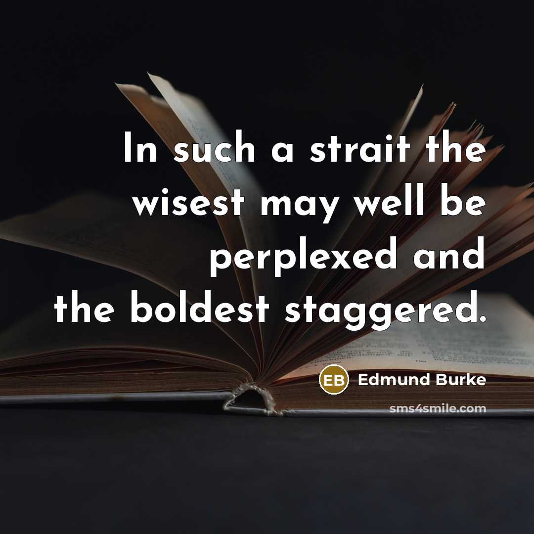 “In such a strait the wisest may well be perplexed…” quote by Edmund Burke