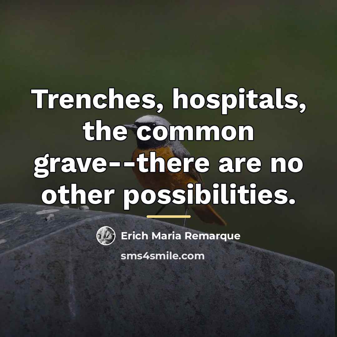 “Trenches, hospitals, the common grave--there are no other possibilities.…” quote by Erich Maria Remarque