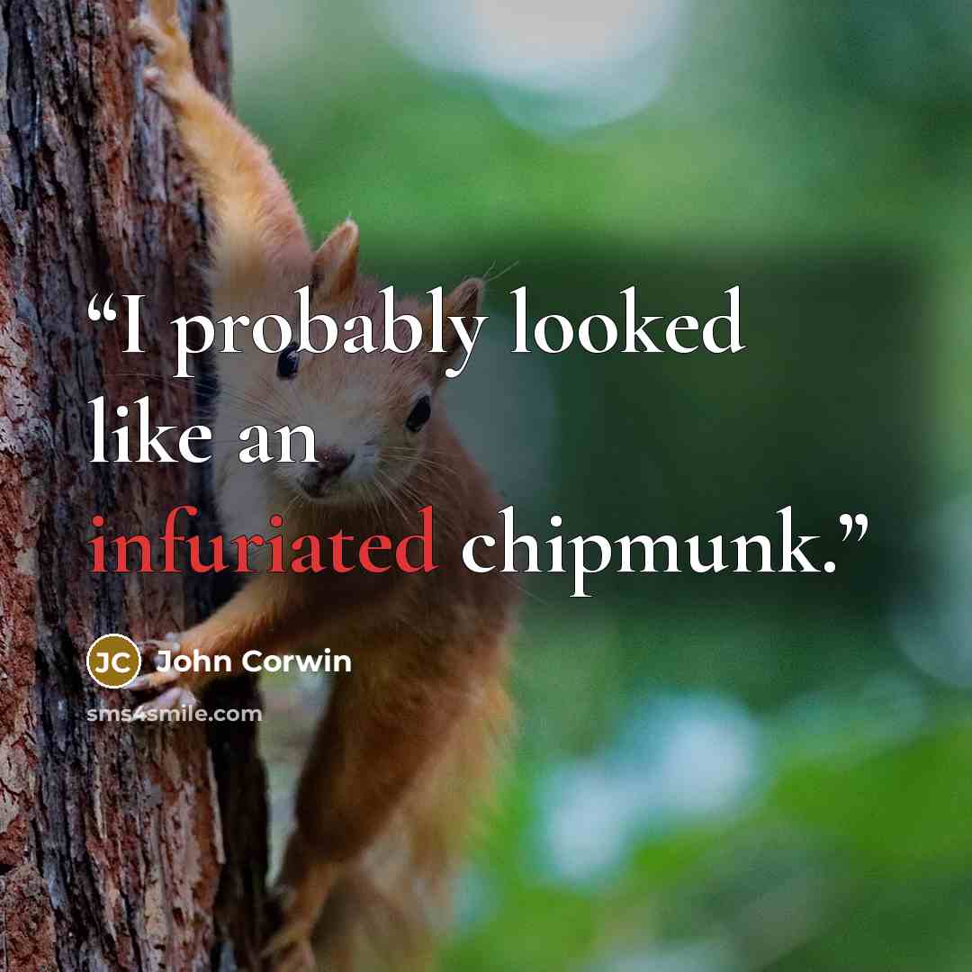 “I probably looked like an infuriated chipmunk.” quote by John Corwin