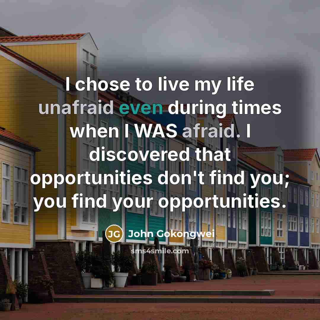 “I chose to live my life unafraid even during times when I WAS afraid. I discovered that opportunities don't find you; you find your opportunities.” quote by John Gokongwei