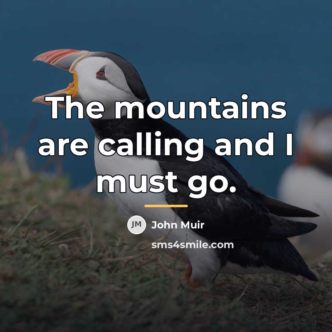 “The mountains are calling and I must go.…” quote by John Muir