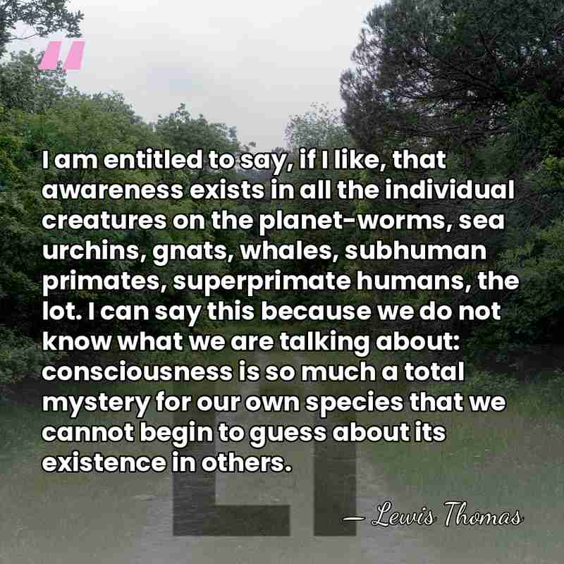 I am entitled to say, if I like, that awareness exists in&hellip; - Lewis Thomas